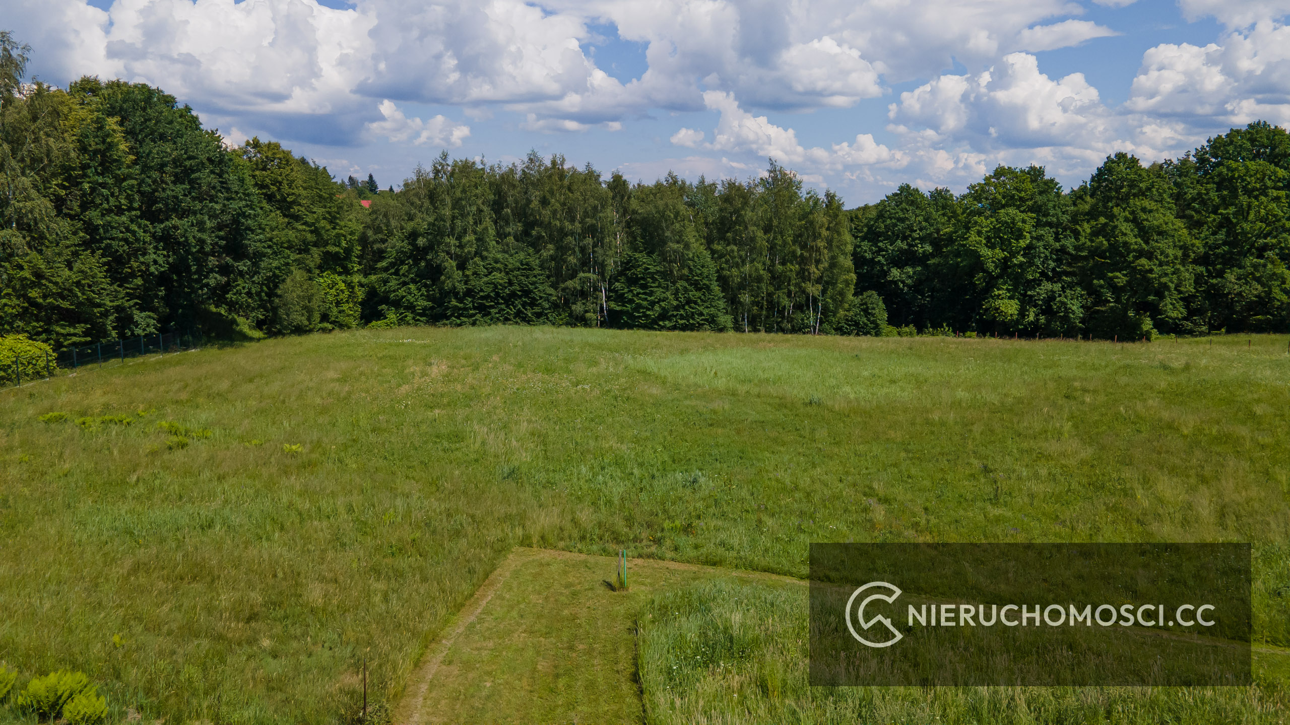 DJI_0416 Działka 90 ar pod Krakowem OKAZJA z własnym lasem !