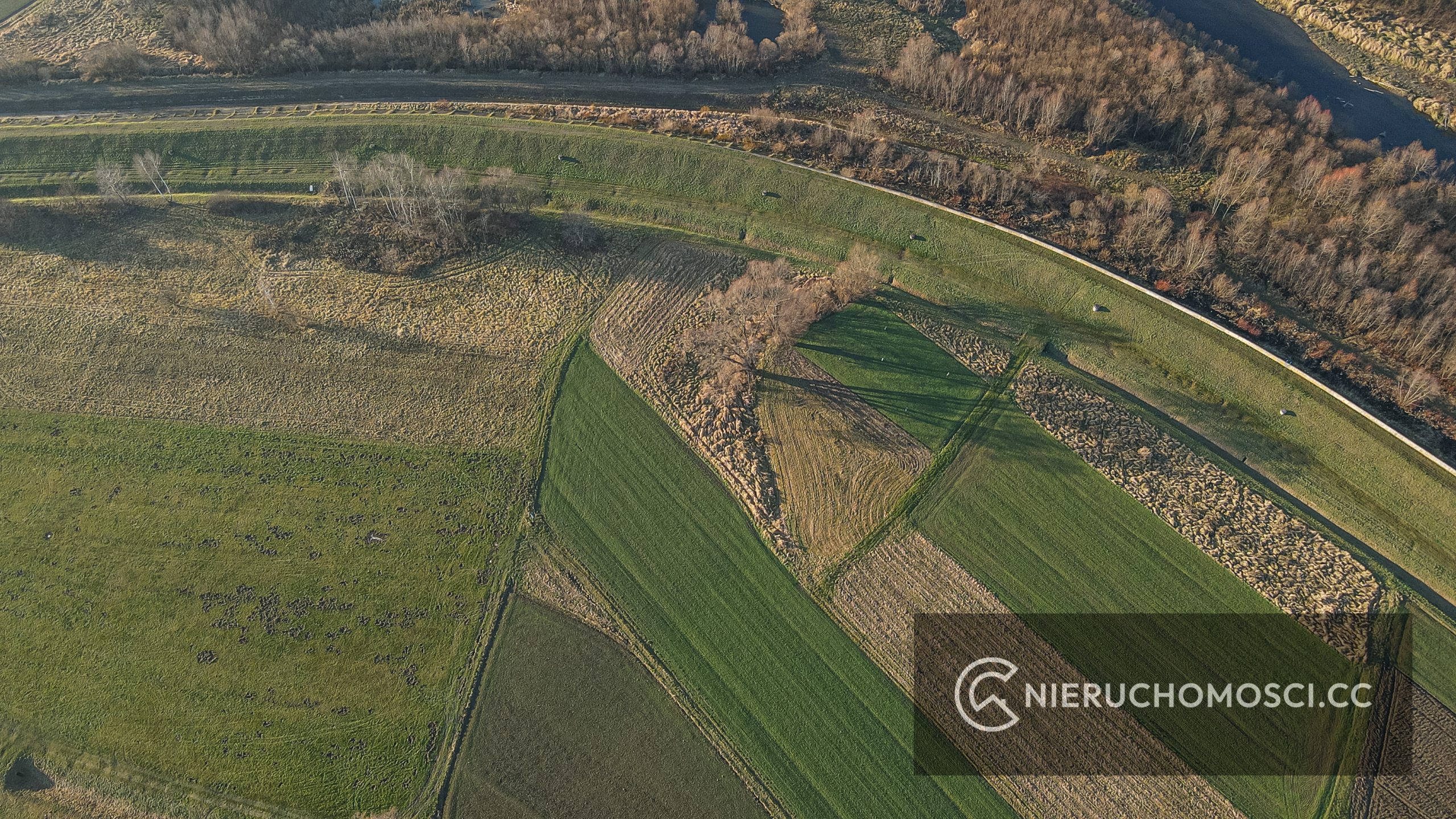 DJI_0540 Działka rolna 15 ar OKAZJA ! Osieczany !
