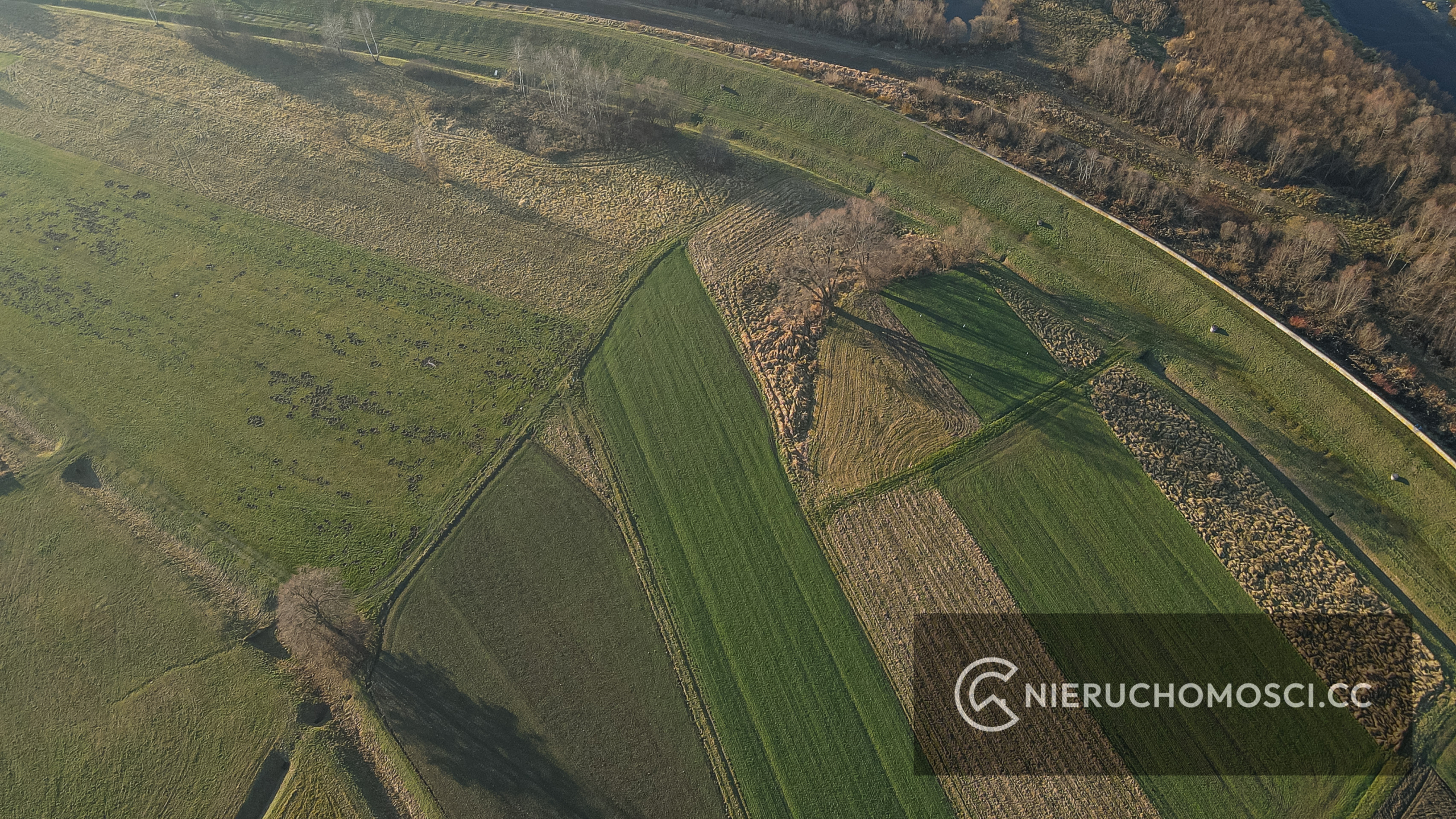 DJI_0541 Działka rolna 15 ar OKAZJA ! Osieczany !