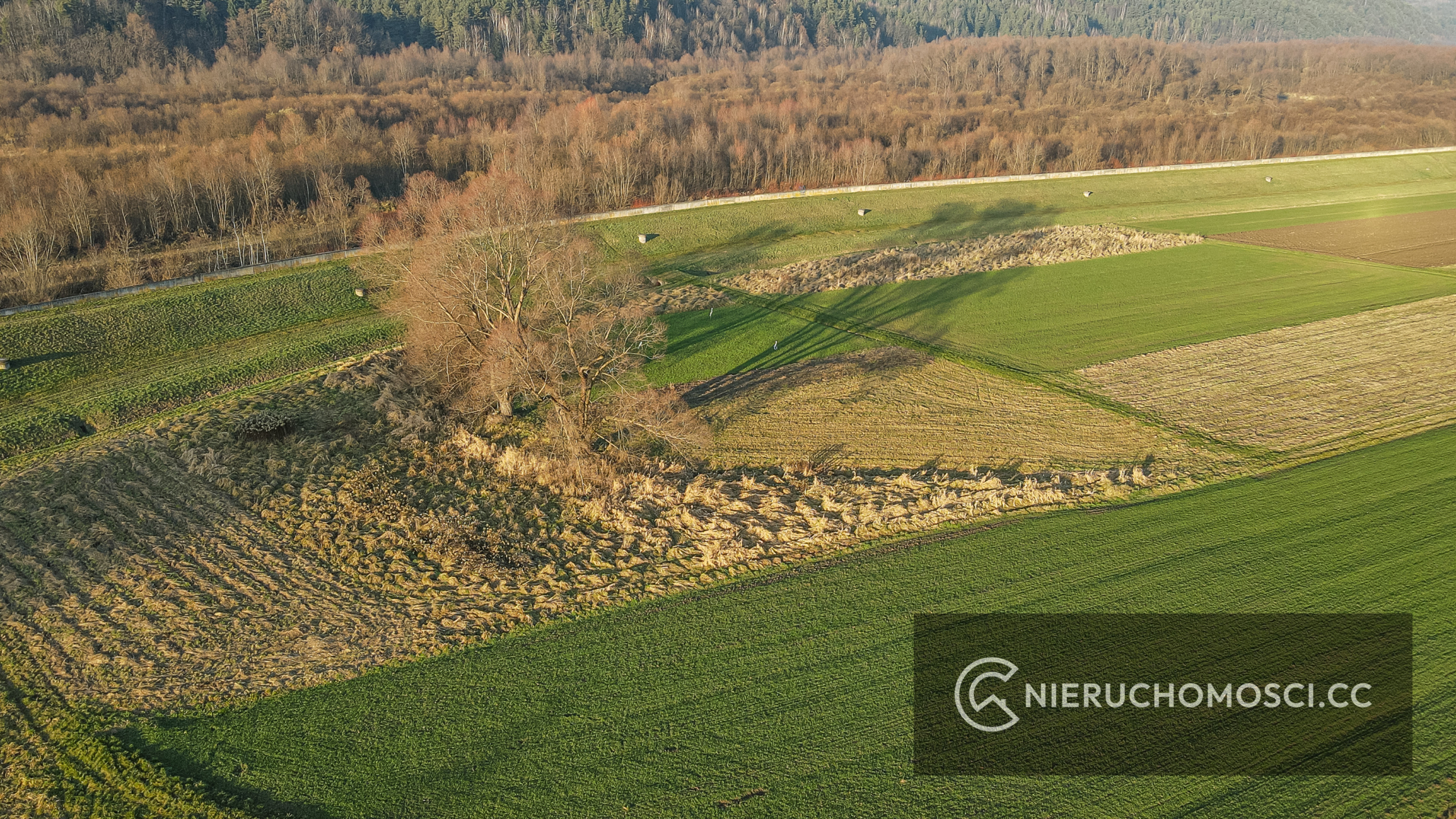 DJI_0542 Działka rolna 15 ar OKAZJA ! Osieczany !