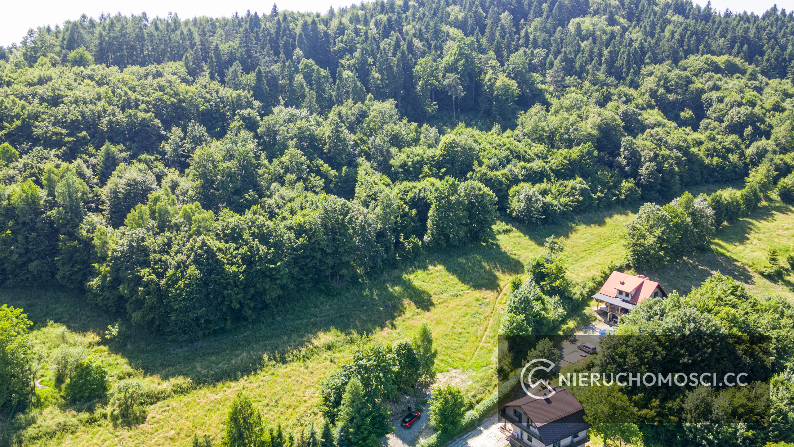 DJI_0994 Stróża działka bud las – OKAZJA!