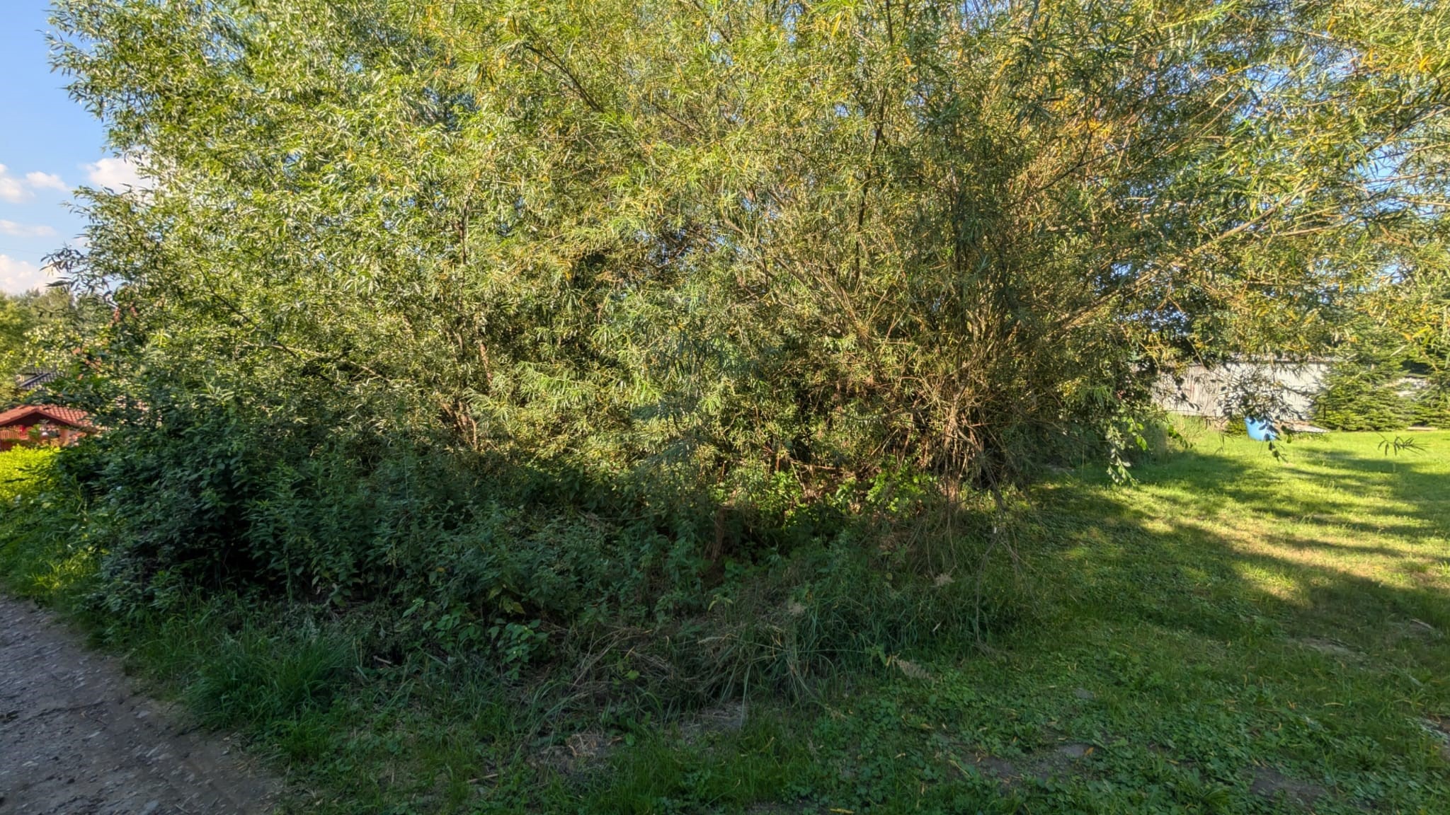 WhatsApp Image 2026-08-06 at 14.26.26 (Kopiowanie) Działka 822 m² – Kraków, ul. Wyżynna | Okazja inwestycyjna!